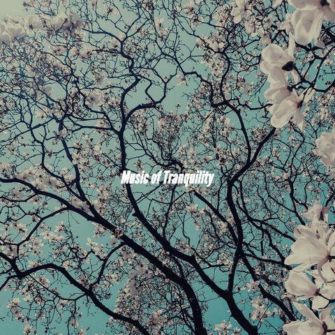 Music of Tranquility