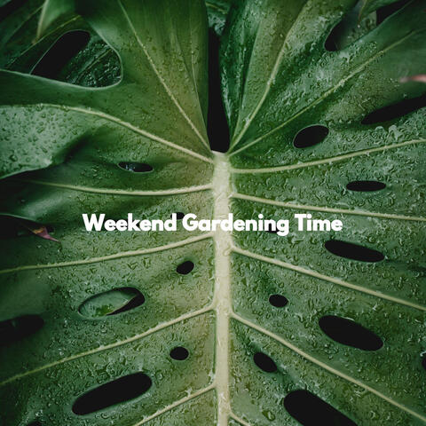 Weekend Gardening Time