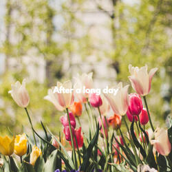 Cheerful Replicating Change