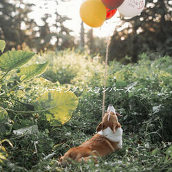 Lonely A Haven of Peace