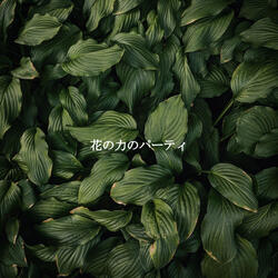Fashionable Music for Dazy Days