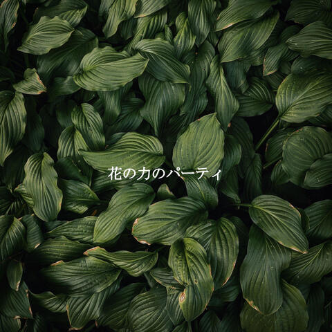 花の力のパーティ