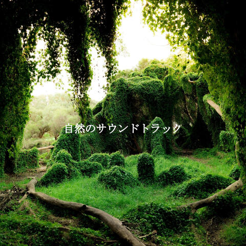 自然のサウンドトラック