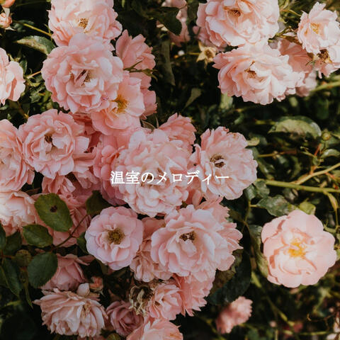 温室のメロディー