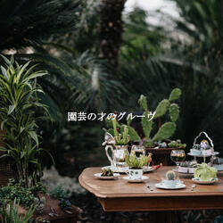 Pulsating Ambiance for Hazy Days