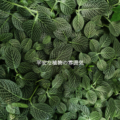 平安な植物の雰囲気