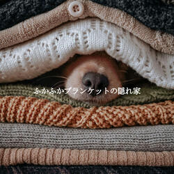 Background for Deep Presence