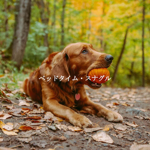 ベッドタイム・スナグル