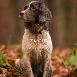 Happening A Haven of Peace