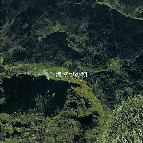 温室での朝