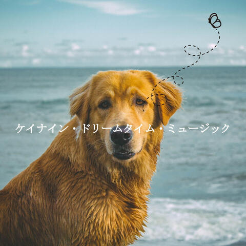 ケイナイン・ドリームタイム・ミュージック