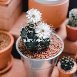Background for Weekend Cafe