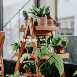 Divine Moods for Weekend Cafe