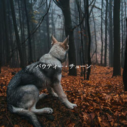 Simplistic Backdrops for A Still Mind