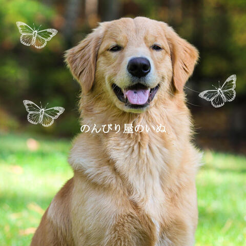 のんびり屋のいぬ
