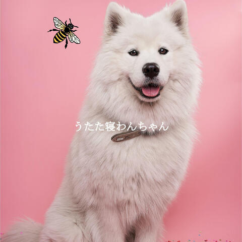 うたた寝わんちゃん