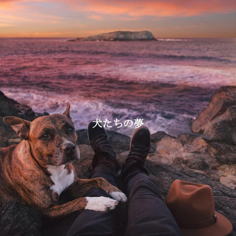 犬たちの夢