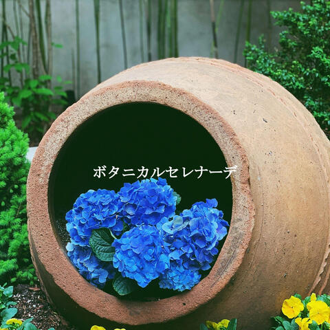 ボタニカルセレナーデ