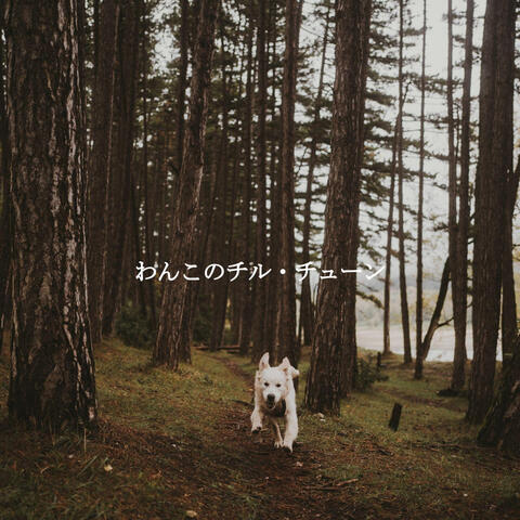 わんこのチル・チューン