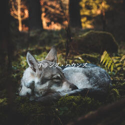 Terrific Sunday Lounger