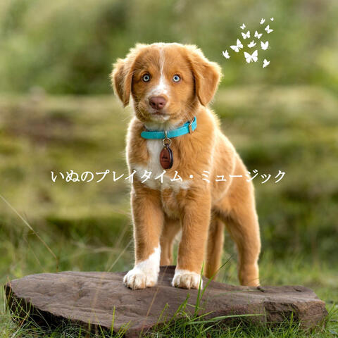 いぬのプレイタイム・ミュージック