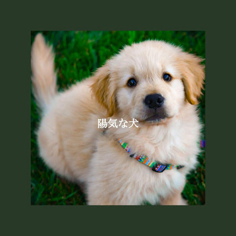 陽気な犬