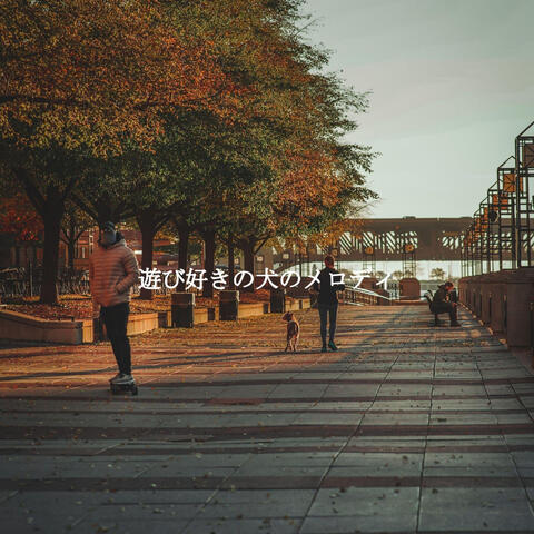 遊び好きの犬のメロディ