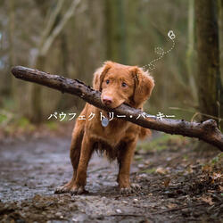 Background for Deep Presence