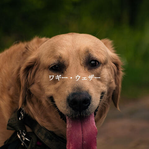 ワギー・ウェザー