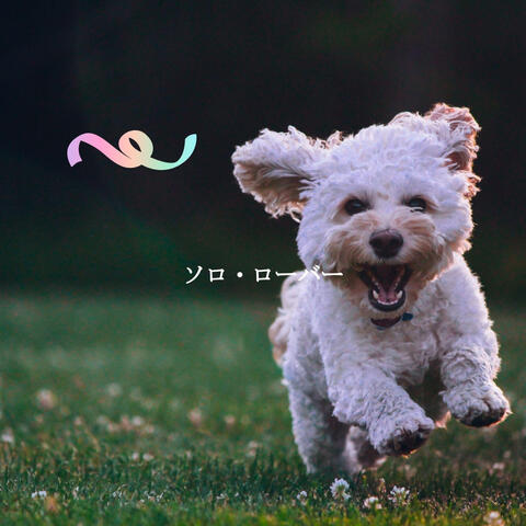 ソロ・ローバー