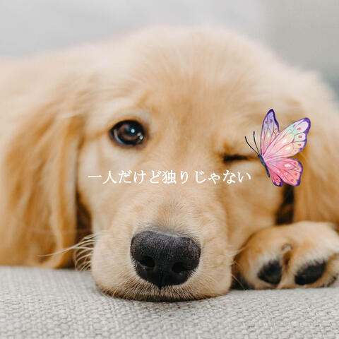 一人だけど独りじゃない