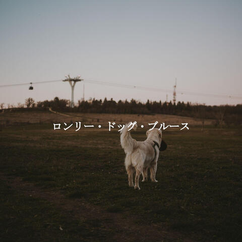 ロンリー・ドッグ・ブルース