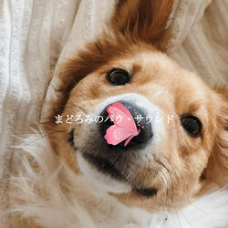 Chilled Ambience for Quiet Dinners