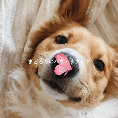 まどろみのパウ・サウンド