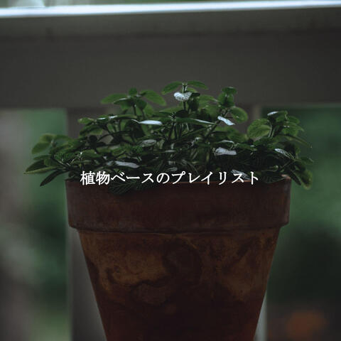 植物ベースのプレイリスト