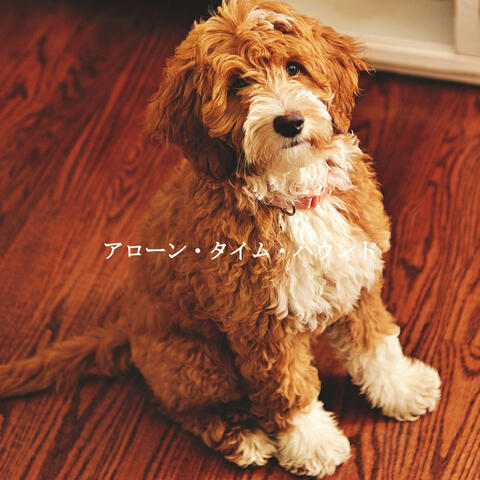 アローン・タイム・ハウンド