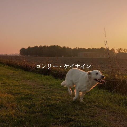 ロンリー・ケイナイン