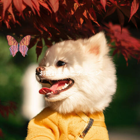 お疲れわんこチューン