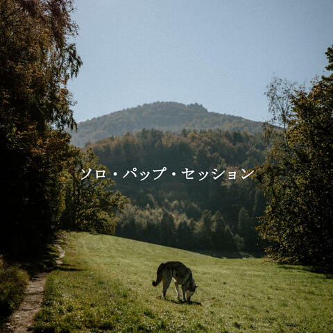 ソロ・パップ・セッション