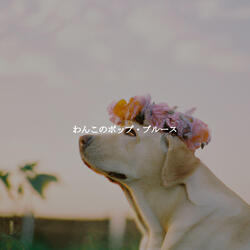 Mellow Ambience for Refreshing and Inspired