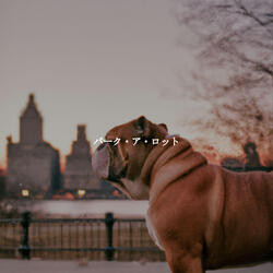 Simplistic Music for Refreshing and Inspired