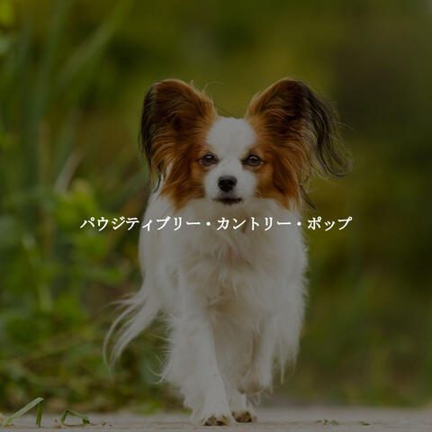 パウジティブリー・カントリー・ポップ