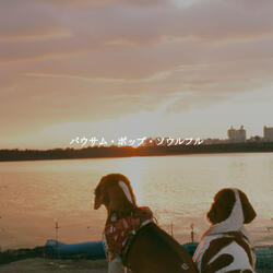Atmospheric Refreshing and Inspired