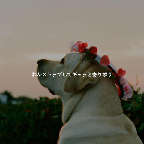 わんストップしてギュッと寄り添う
