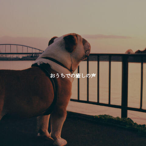 おうちでの癒しの声
