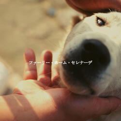 Smooth Music for Calmed Vibe