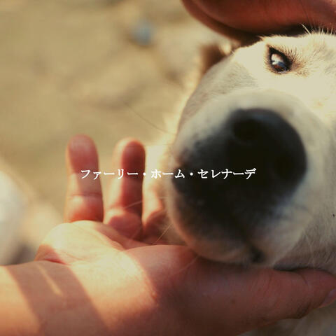 ファーリー・ホーム・セレナーデ