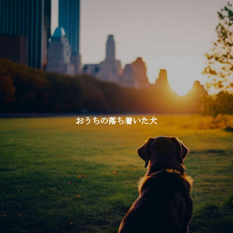 おうちの落ち着いた犬