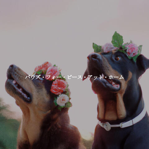 パウズ・フォー・ピース・アット・ホーム