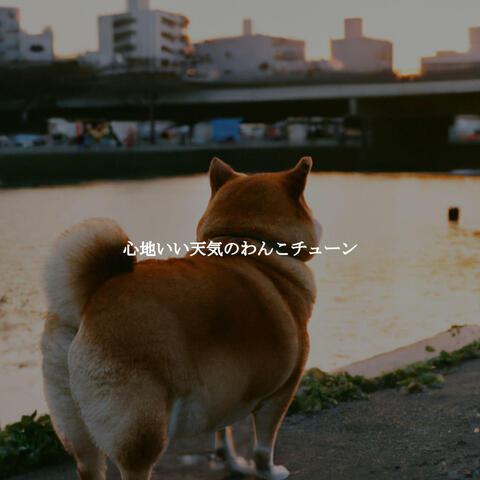 心地いい天気のわんこチューン
